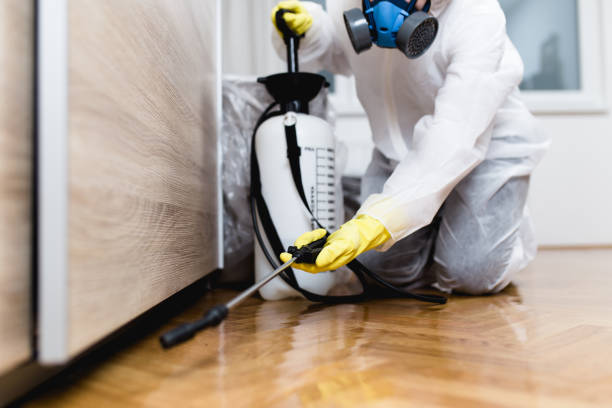 Best Exterminator Services  in Ironde, AL