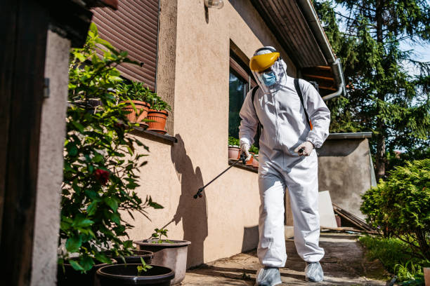 Best Wasp Removal Services  in Ironde, AL