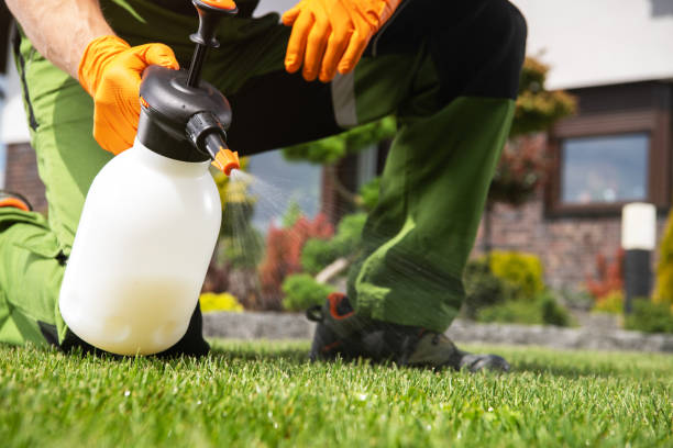 Best Rodent Control Near Me  in Ironde, AL