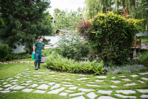 Best Best Pest Control Near Me  in Ironde, AL