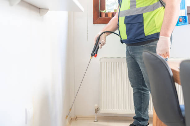 Best Affordable Pest Control Services  in Ironde, AL