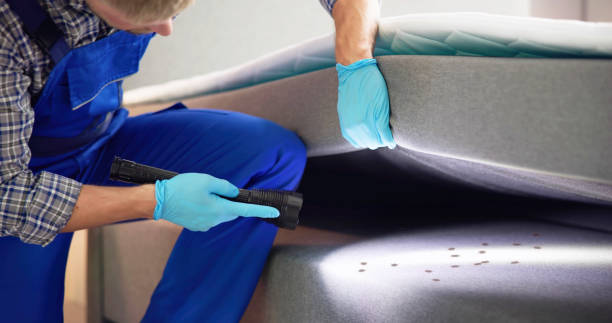 Best Ant Control Services  in Ironde, AL